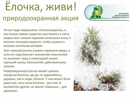 Живой сохранить