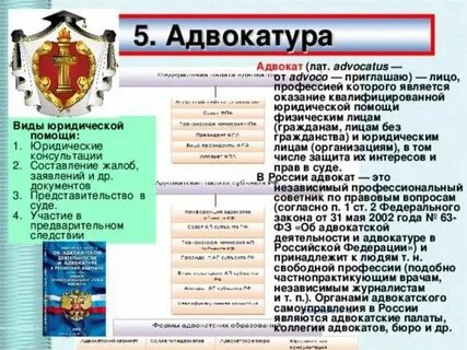 К государственным правоохранительным органам относятся адвокатура