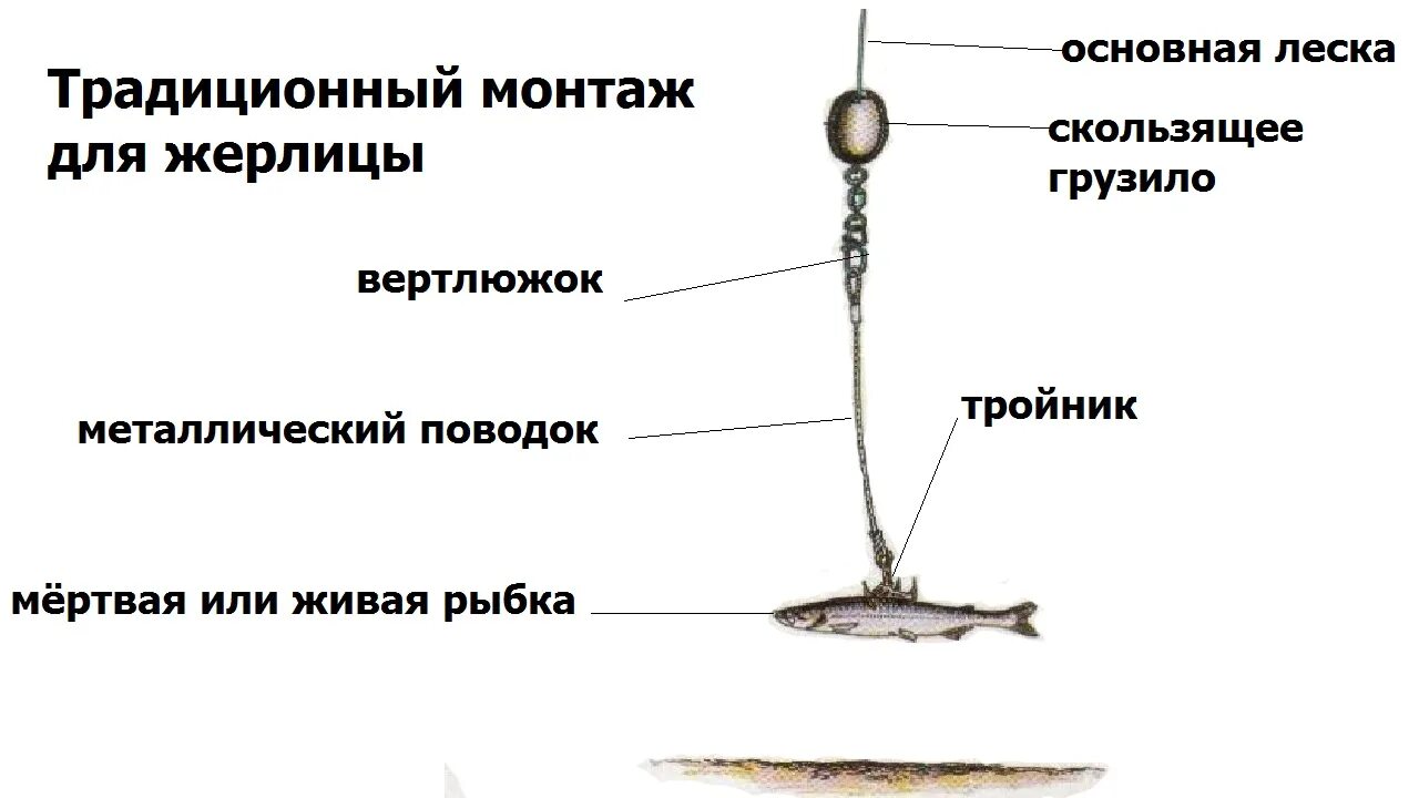 Ловля щуки леска. Какие поводки ставить на жерлицы на щуку зимой. Схема оснастки жерлицы. Оснастка жерлицы на щуку зимой. Сколько лески наматывать на катушку жерлицы.