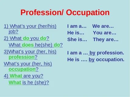 Job profession occupation career