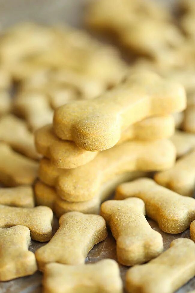 Treats animals. Печенье для собак. Собачьи вкусняшки печенье. Процесс приготовления вкусняшек для собак. Форма для вкусняшек для собак.