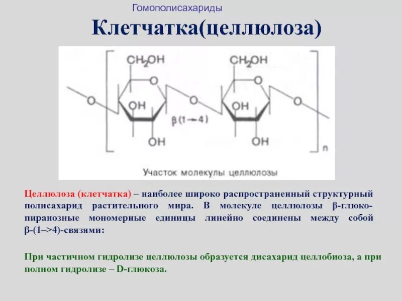 Биохимия формула целлюлозы. Полисахариды биохимия формула. Пищевые волокна строение. Строение клетчатки биохимия. Клетчатка строение и функции