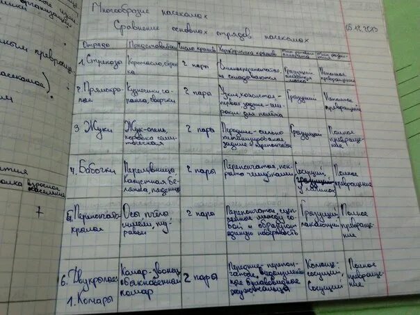 Параграф 17 биология краткий пересказ 6 класс. Таблица отряды насекомых 7 класс биология. Класс насекомые 7 класс биология таблица. Таблица отрядынаекомых. Таблица по биологии 7 класс класс насекомые.
