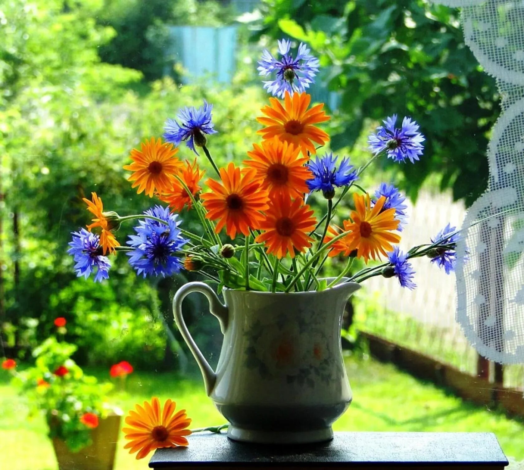 Нежные ромашки. Букет в корзине. Открытки с полевыми цветами. Красивые полевые цветы картинки с добрым утром. Красивые полевые цветы картинки с добрым утром.