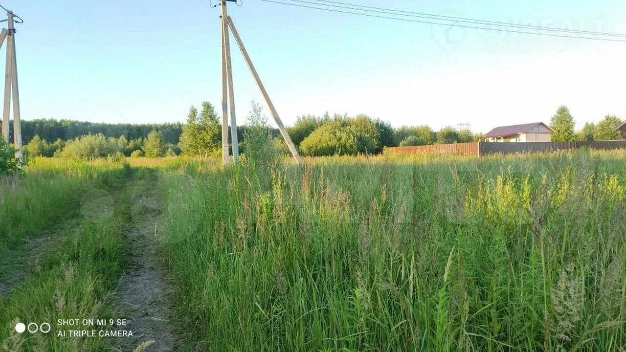 Погода бубново раменский. Дорога из асфальтовой крошки. Бубново псковская область деревня. Погода бубново раменский. Снт бубново.