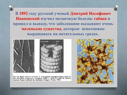 Какое заболевание вызвано неклеточными формами жизни