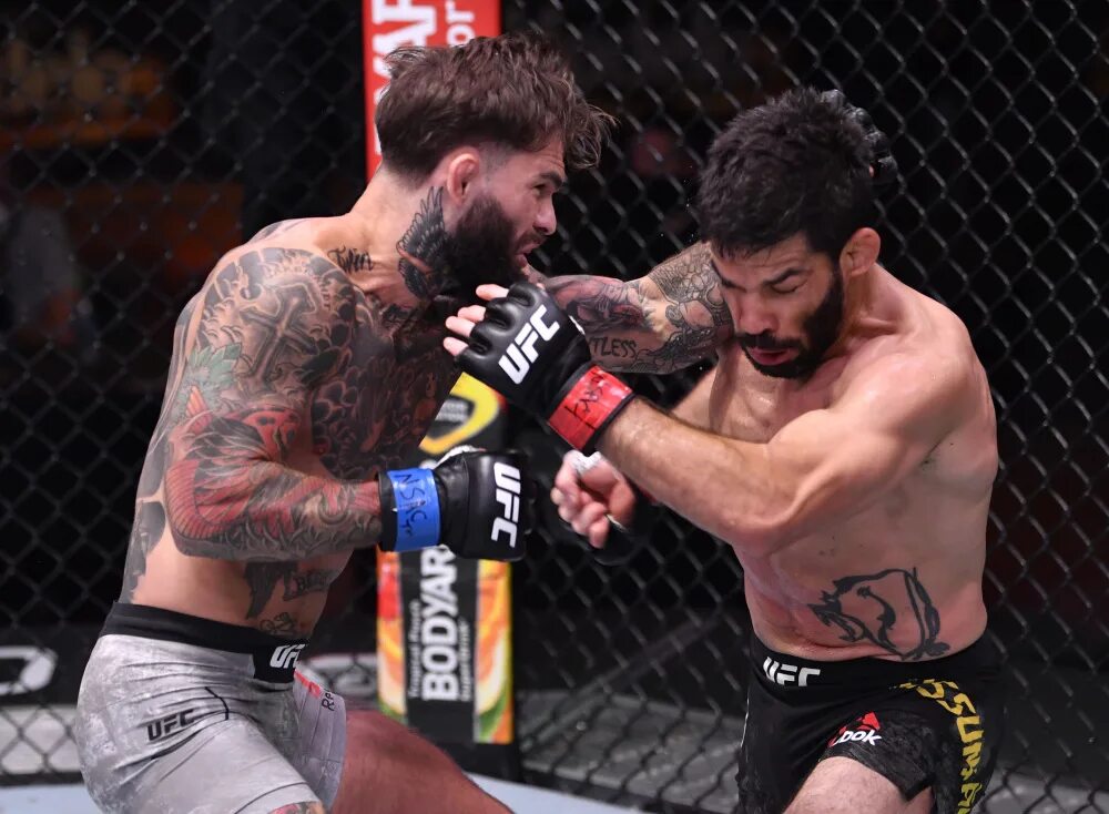 Боец ufc коди гарбрандт. Коди гарбрандт фигередо полный бой. Ufc yangi qolqoplari. Боец коди гарбрандт. Боец коди гарбрандт.