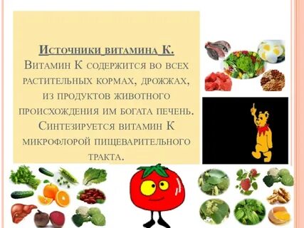 Витамин к в каких продуктах