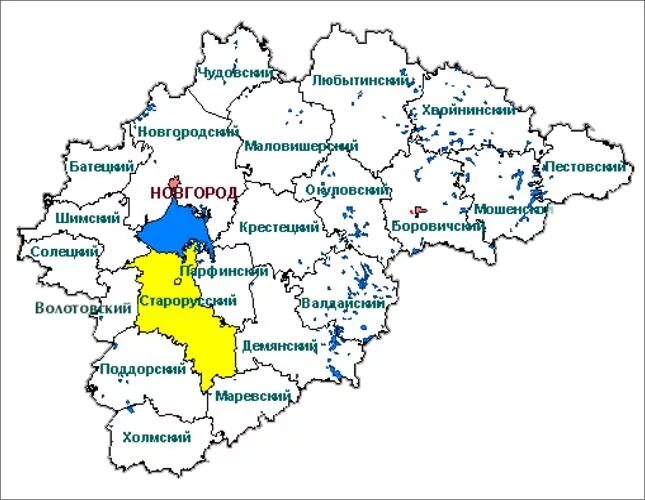 Новгородская область на карте России с районами. Карта Новгородской области с муниципальными районами. Карта Новгородской области с районами. Карта Новгородской области с границами областей. Реестр новгородская область