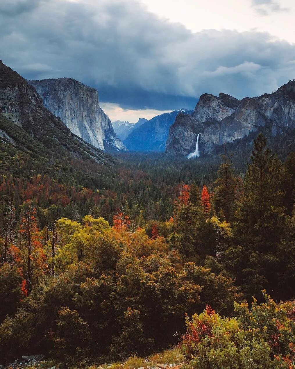 Просмотреть фотографии. Йосемитский парк, США осень. Йосемити национальный парк осенью. Природа Северной Америки. Пейзаж реальный.