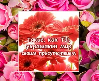Комплименты уважаемая