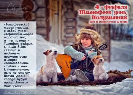 Именины тимофея