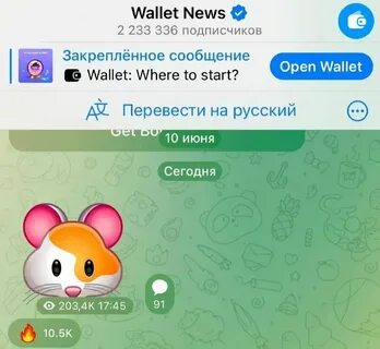 Как открыть хомяка в телеграмме