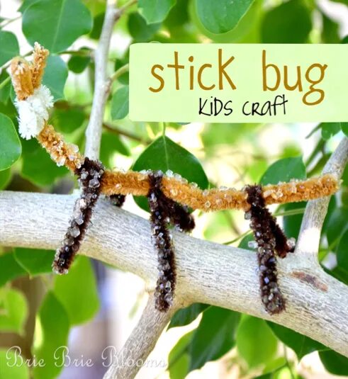 Стик баг. Stick Bug. Stick Bug BSS. Торс Stick Bug. Goliath Stick Bug.