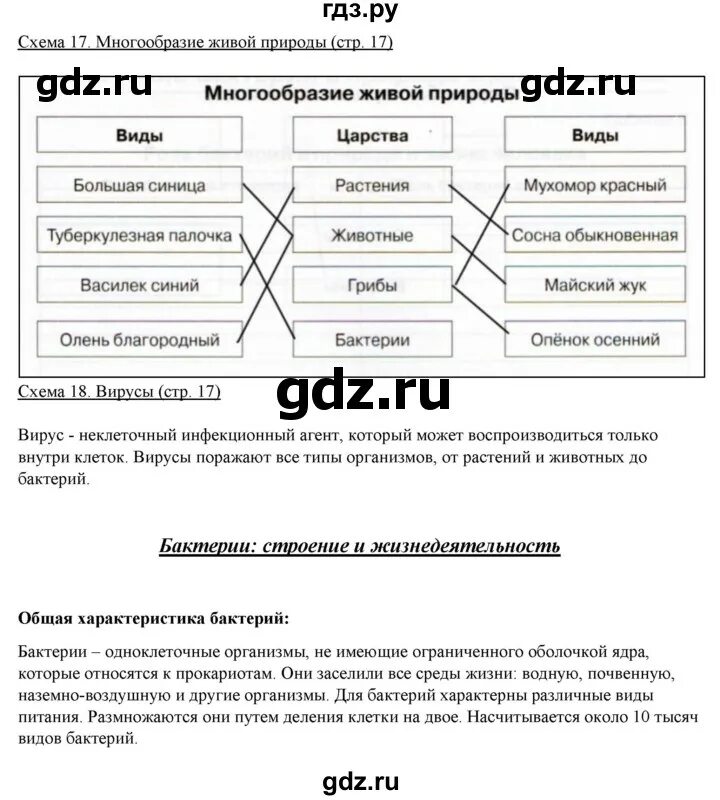 Биология 5 класс рабочая тетрадь стр 89