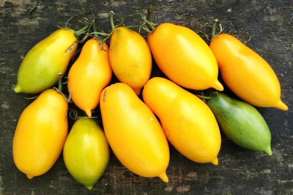 Yellow Pearl tomato variety Yellow pearl, Colorful vegetables, Tomato seeds