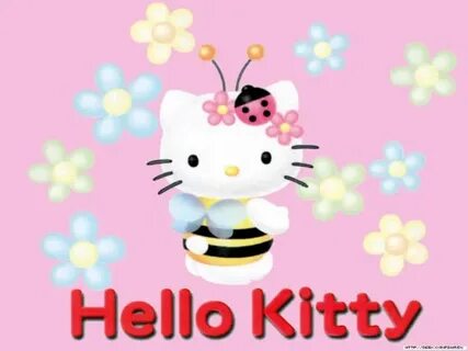 8 hello
