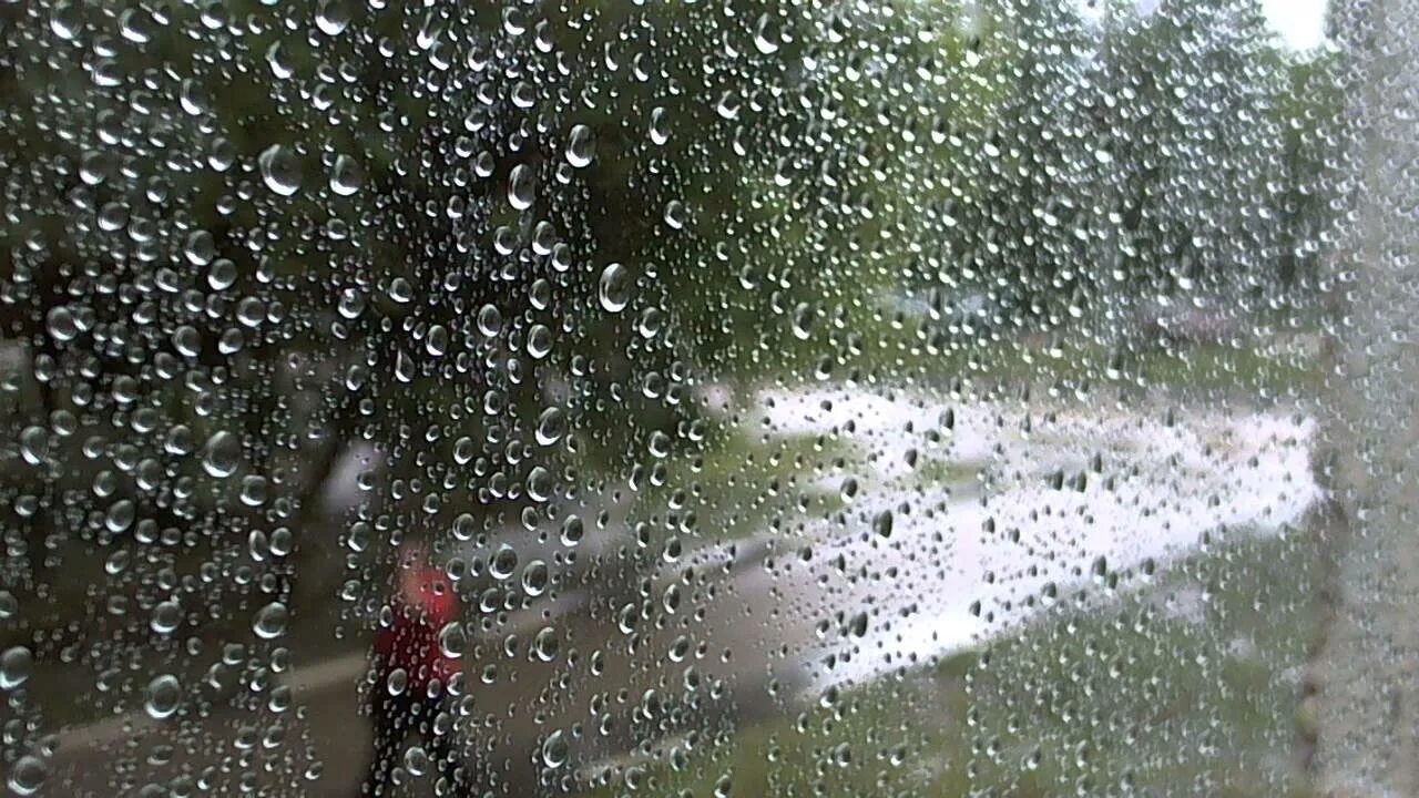 Short rain. Короткий дождь. Видеоролик про дождик. Видеоролик летний дождь. Про дождь коротко.