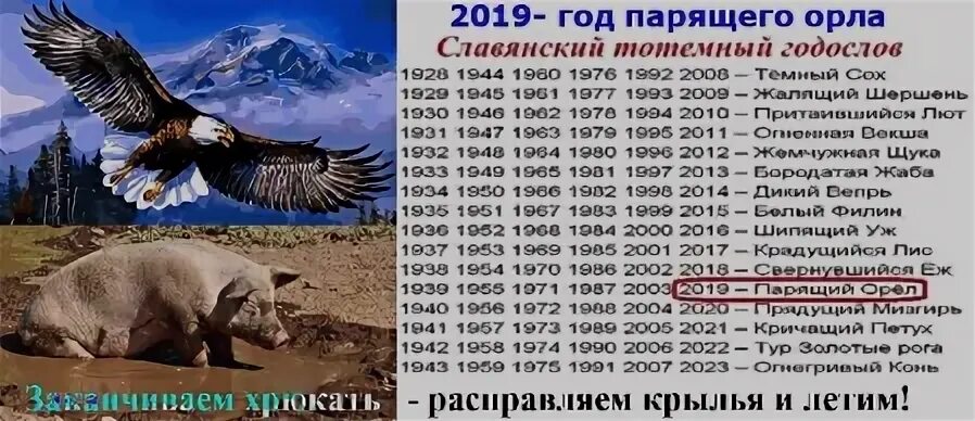 Год орла какие года