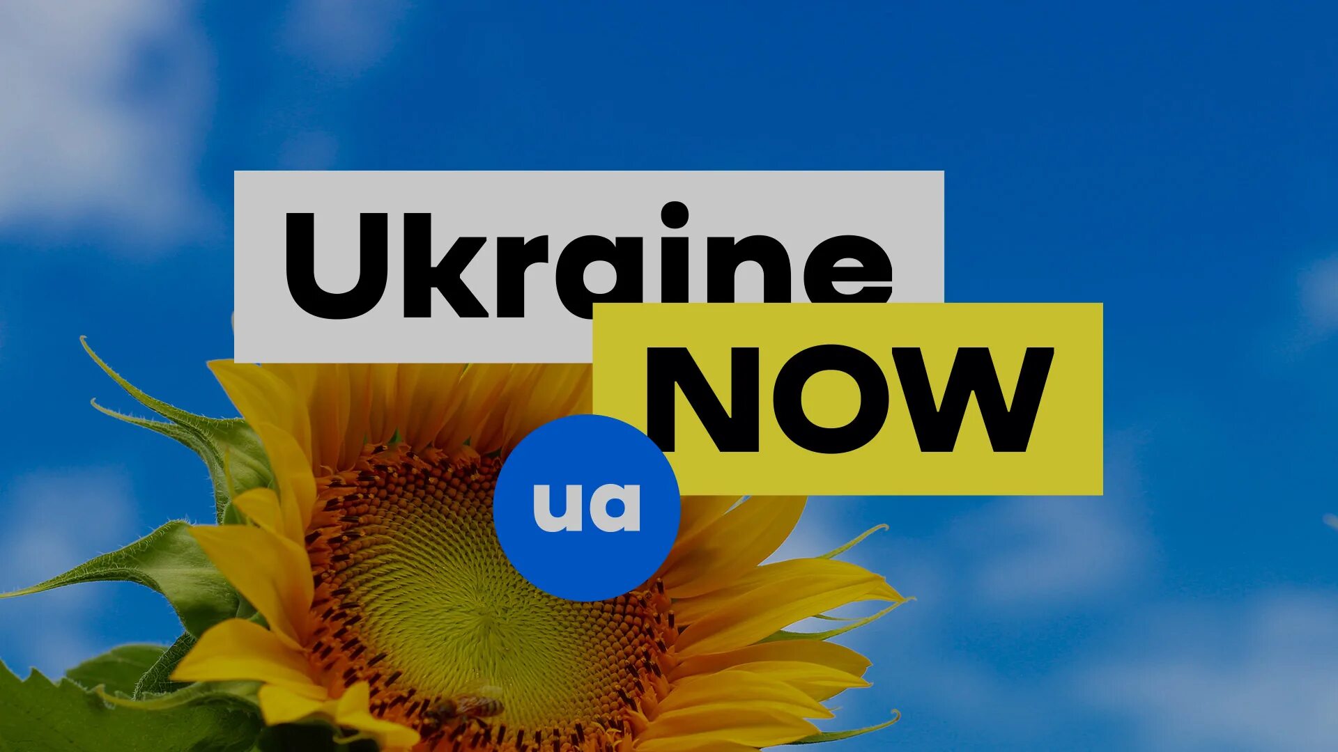 Ukrainian now. Украинские бренды. Ukrainian now. Ukrainian now. Simply hired.