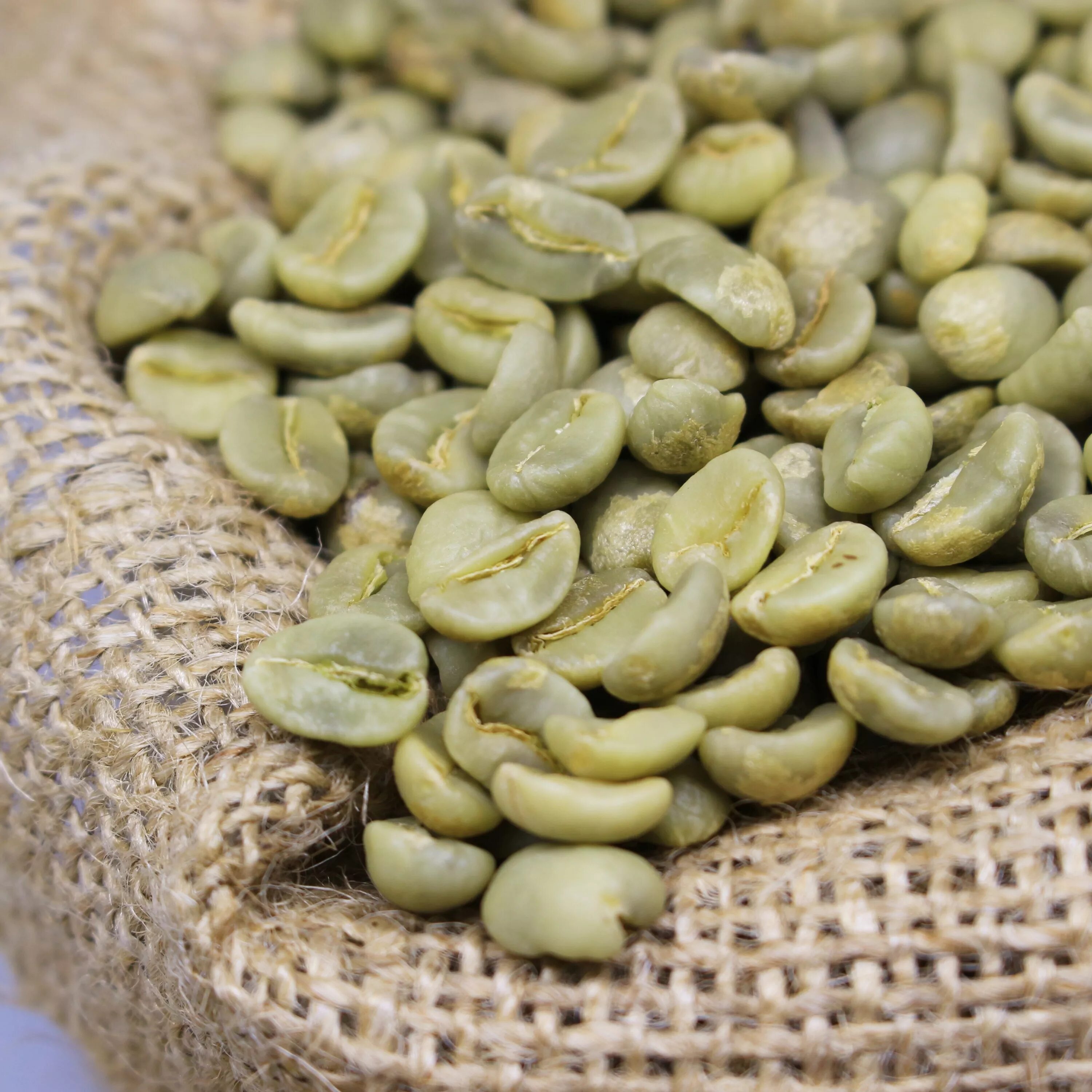 Зеленый кофе в зернах для обжарки. Green coffee arabica. arabica bean. зеленый кофе в зернах. кофейные зерна необжаренные.
