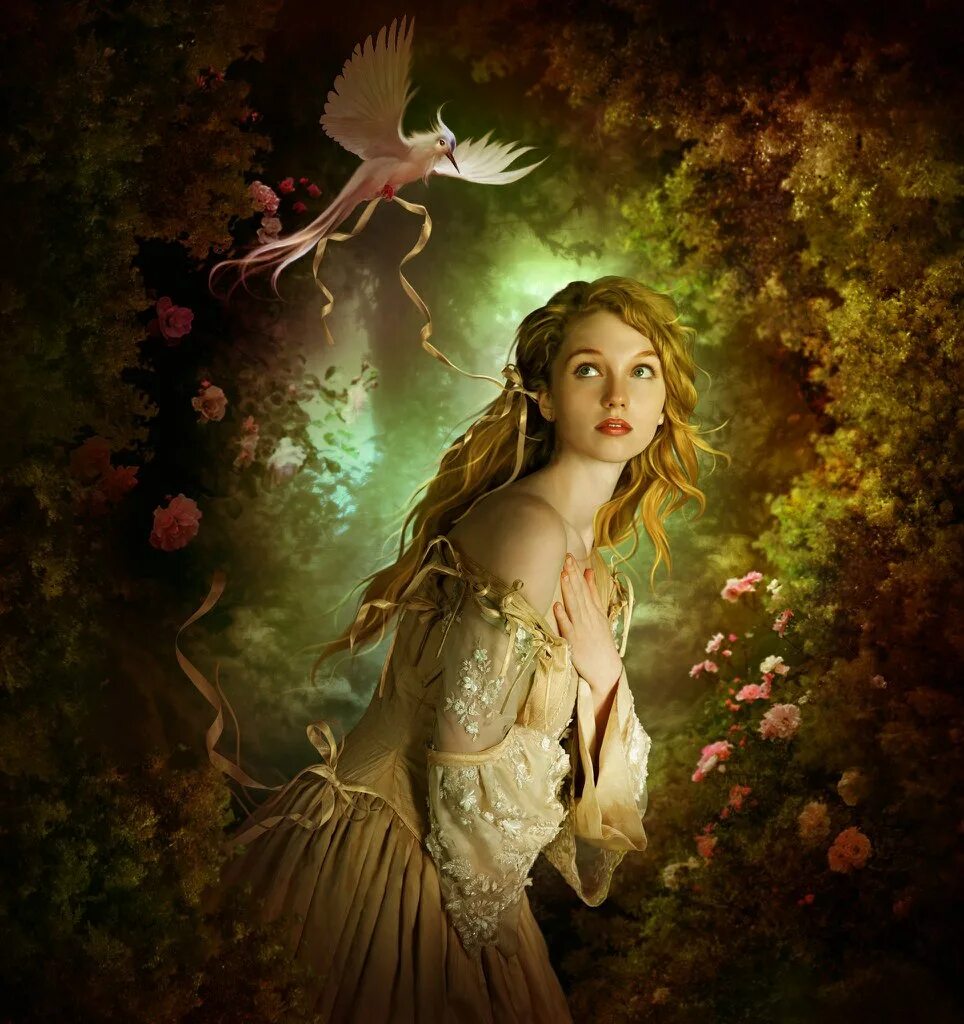 Fairy reader