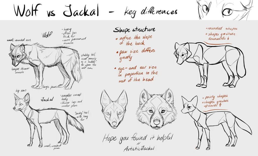How to wolf
