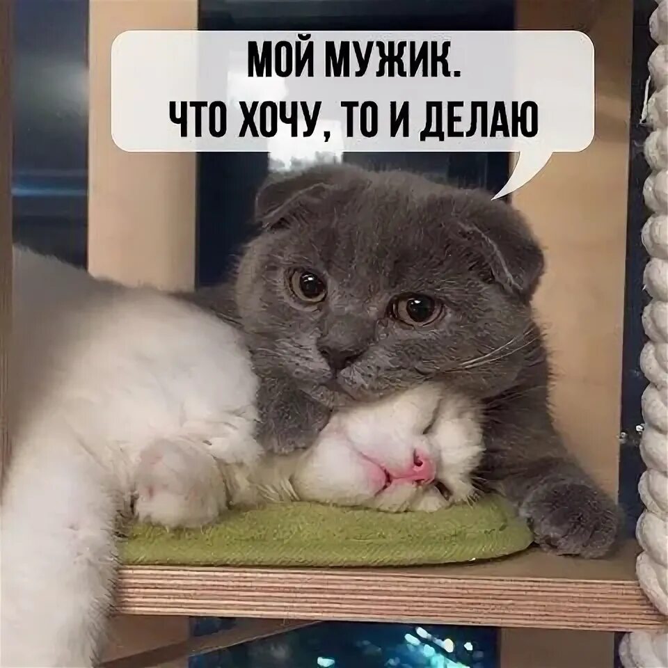 Если мужик. Парень дебил. Я и мой мужик. Мой мужик. Я и мой мужик.