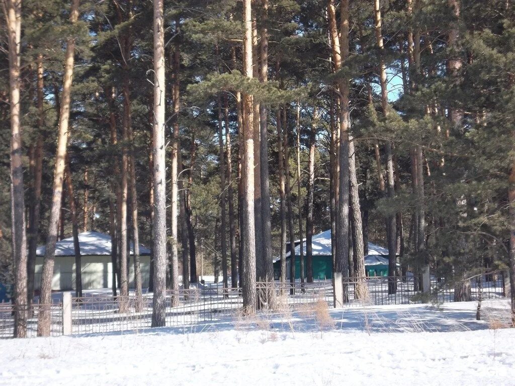 Дол рассвет. Лагерь рассвет Алтайский край. Лагерь рассвет в Зудилово Алтайский край. Лагерь рассвет Барнаул Зудилово. Лагерь дол рассвет Зудилово.