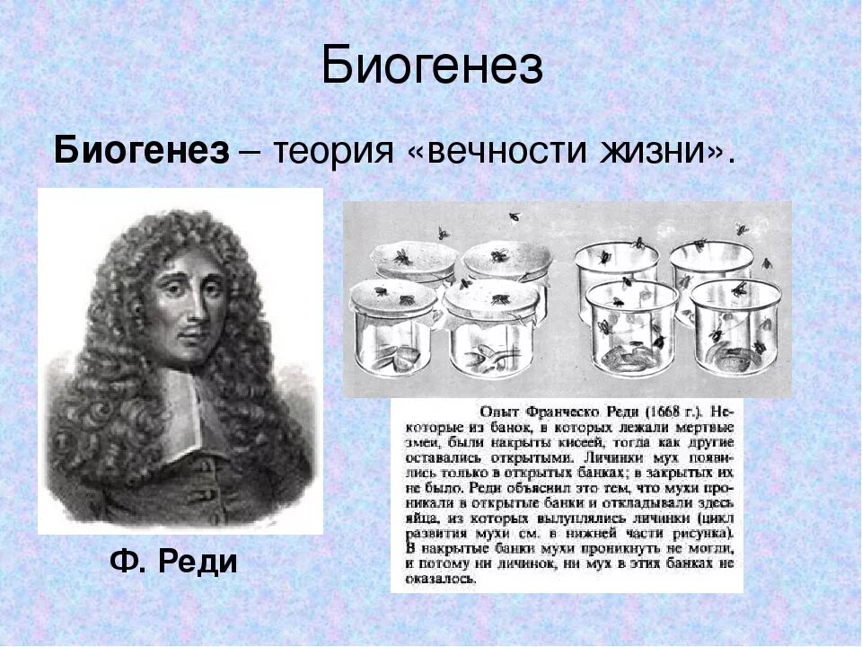 Жизнь после жизни гипотезы. Франческо реди теория возникновения жизни. Франческо реди гипотеза возникновения. Теория биогенеза. Ф реди теория биогенеза.