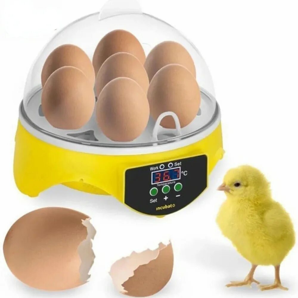 Mini Intelligent 9 Egg incubator. Инкубатор мини-Брудер. Инкубатор для яиц Egg incubator. Инкубатор 7 автоматическое яйцо интеллектуальный интеллектуальный.