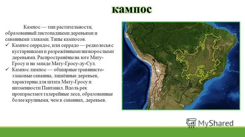 Что такое кампос кратко. Растительность льянос в южной америке. Кампос лимпос. Что такое кампос. Что такое кампос.