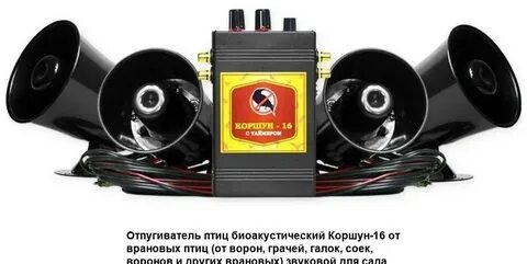 Отпугиватель галок и ворон