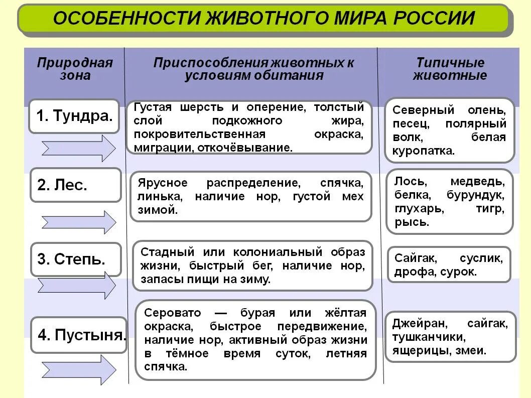 Среда обитания природные зоны