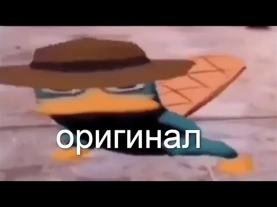 Утконос мультяшный. Утконос перри утконос. Утконос танцует точка. Перри утконос танцует мем. Утконос перри утконос мем.
