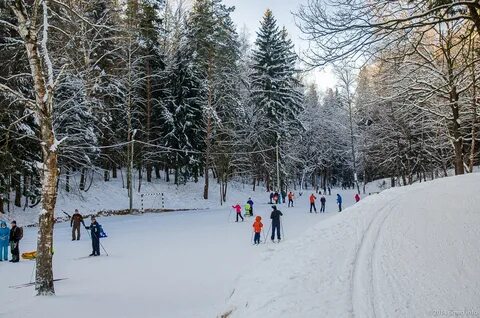 Парк для прогулки зимой