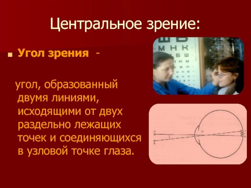 Точка лежащая зрение. Центральное зрение. Исследование центрального зрения. Угол зрения. Методы исследования центрального зрения.