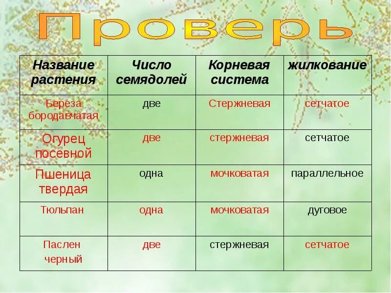 Растительность какое число