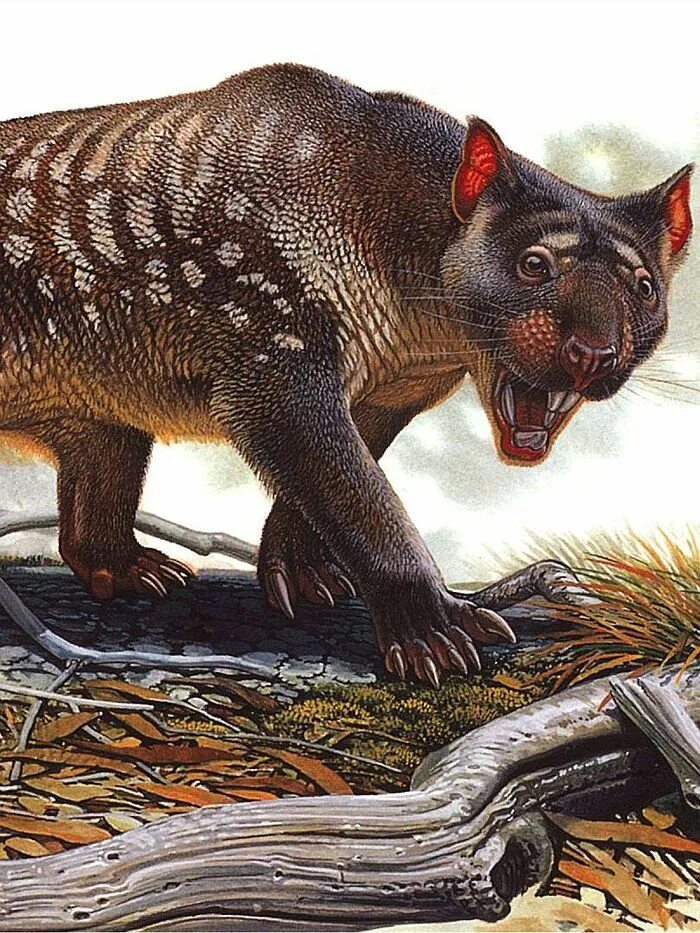 Reptiles mammals. Мегафауна Австралии вымершая. Мегафауна палеозоя. Сумчатая мегафауна. Доисторические млекопитающие.