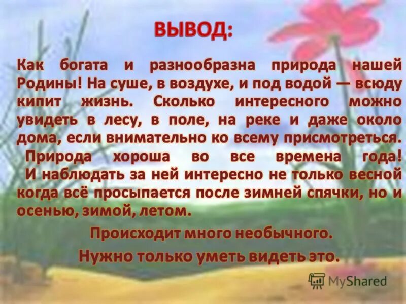 Богатства природы вывод. Вывод о природе. Чем богата наша природа вывод. Сообщение о богатстве природы России. Богатства природы используемые человеком