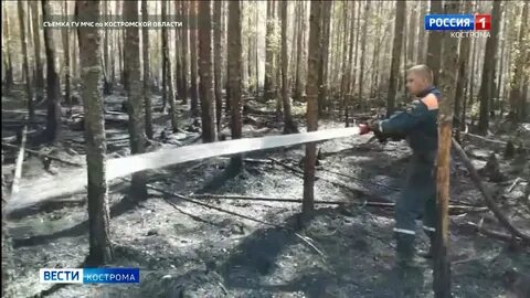 Лесной стрелок 5