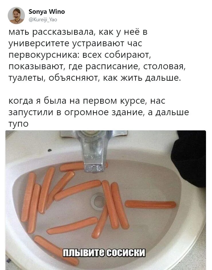 Сосиски в раковине. Плывите сосиски. Сосиски из бумаги. Плывут сосиски. Плывите сосиски мем.