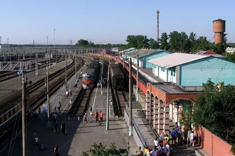 Курск сунджа