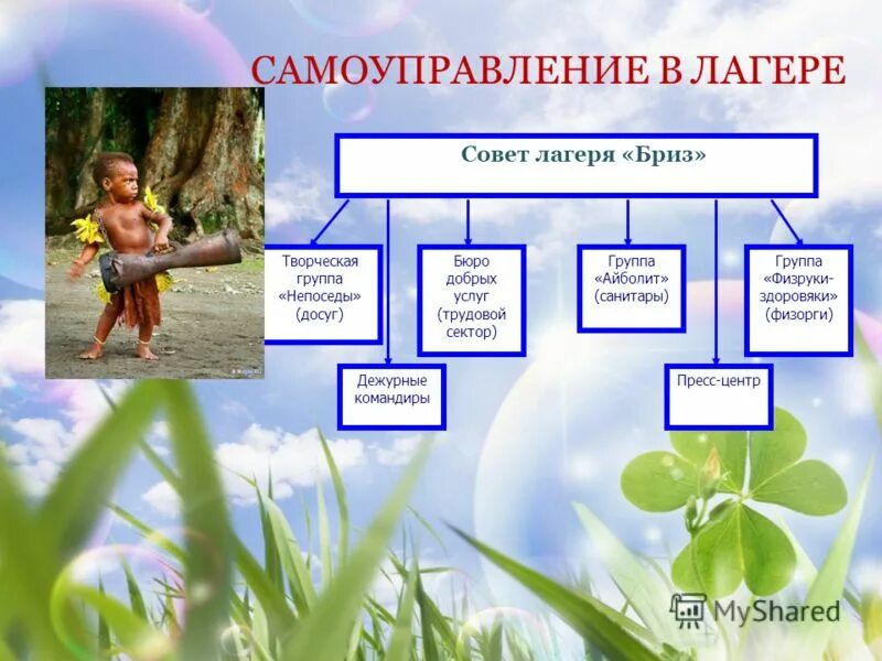 Модель дол. Самоуправление в лагере. Органы самоуправления в лагере. Схема самоуправления в лагере. Самоуправление в летнем лагере.