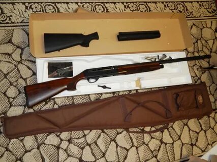 Woods 12