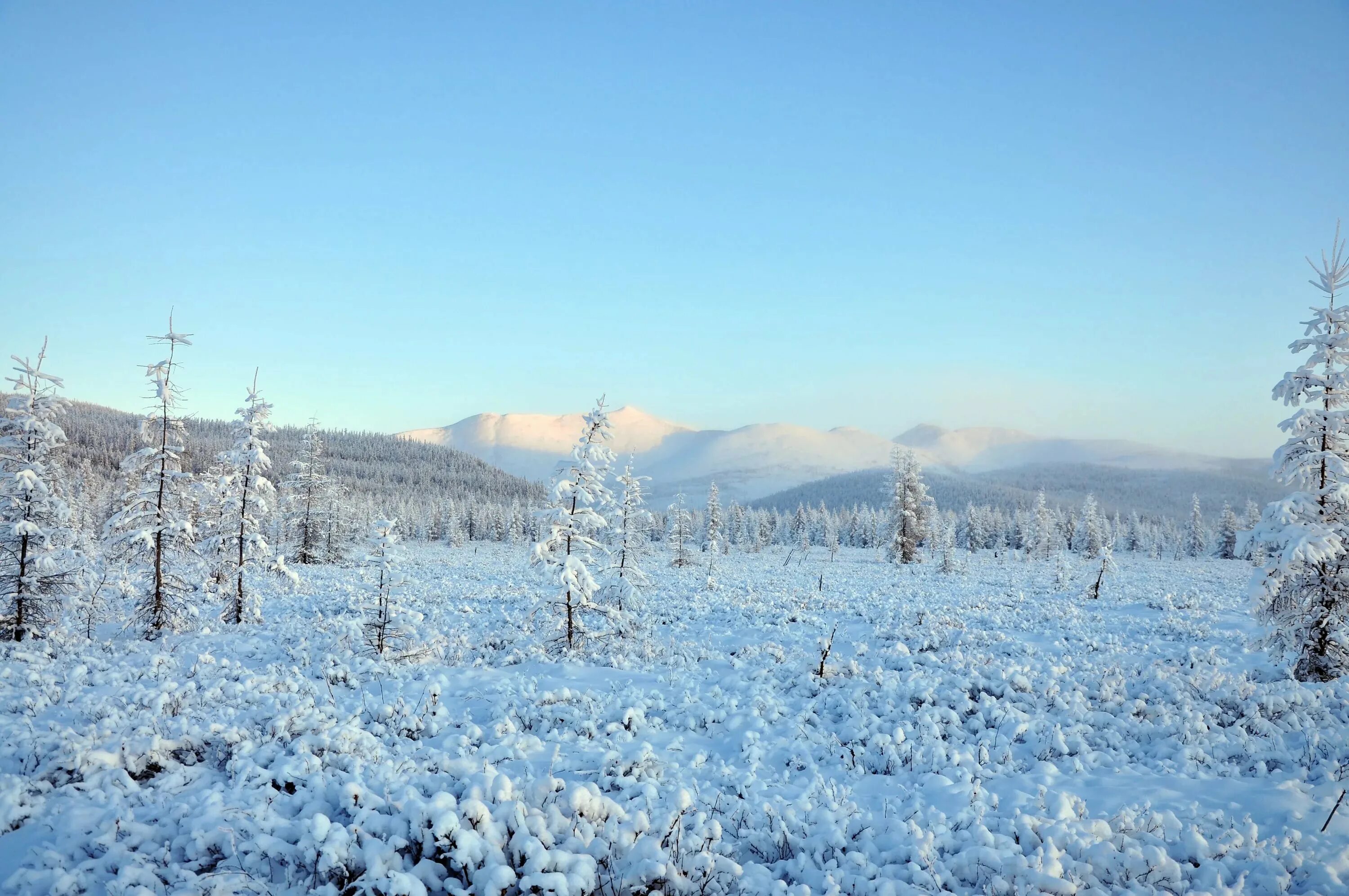 Якутские зимние. Республика Саха Якутия зимой. Якутская тундра. Оймякон природная зона. Озеро Оймякон.