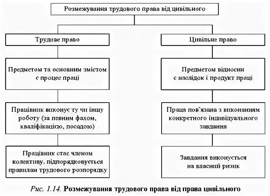 Отграничение от смежных отраслей