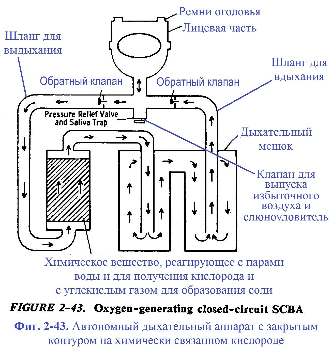 Дыхательный аппарат замкнутого цикла. Акваланг драгер. Изолирующие дыхательные системы - это. Контур дыхательный (с прямым коннектором для аппаратов ивл, 180 см). Открыть дыхательные пути.