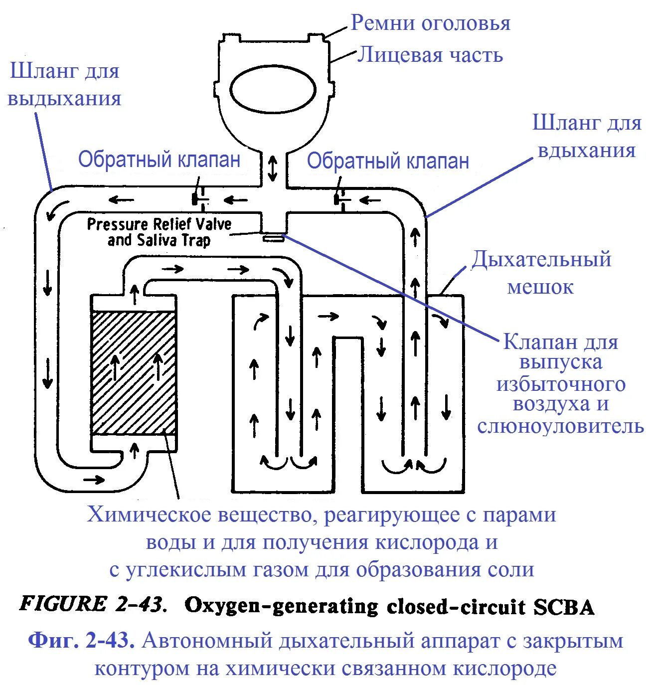 Замкнутая дыхательная система. Система замкнутого дыхания. Замкнутая система дыхания. Система замкнутого дыхания чертёж. Система замкнутого цикла дыхания.