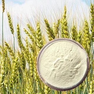 Экстракт овса